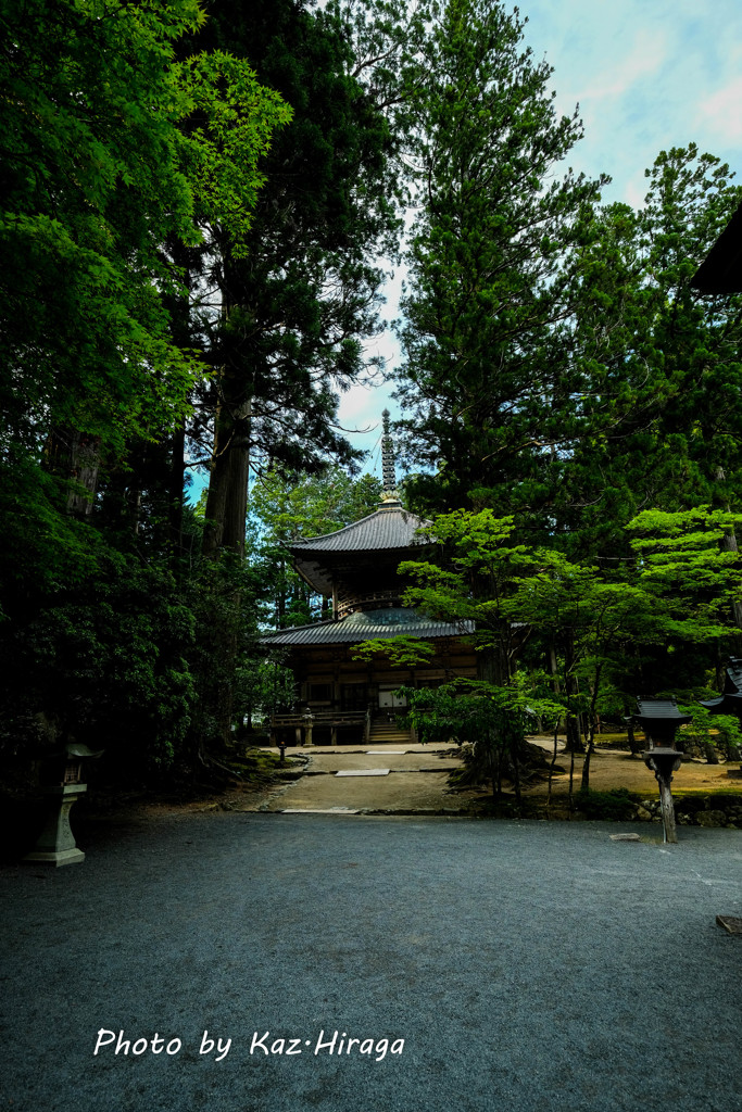 高野山、金剛峯寺の境内にて