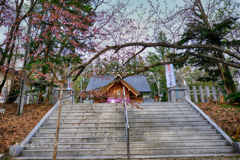 参拝