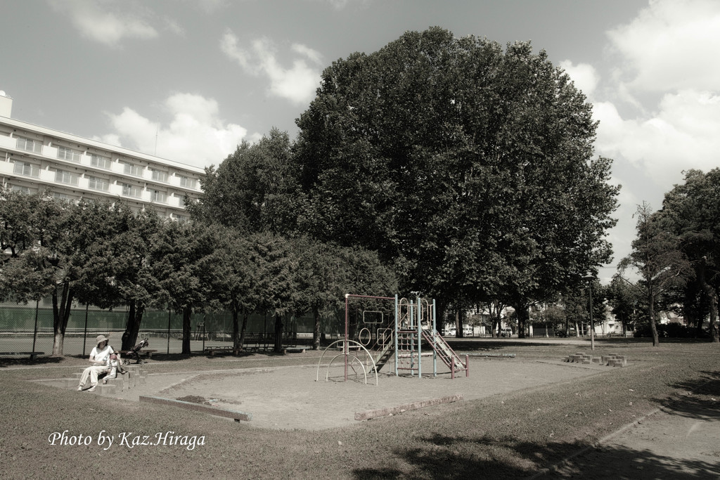 真夏の公園