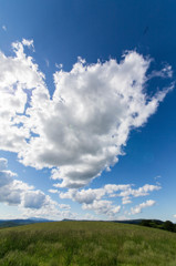 雲に誘われて