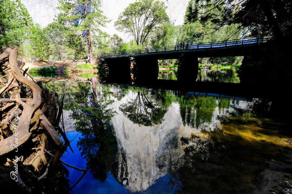 At  YOSEMITE