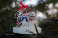 メリクリ　スノーマン　On top of the branch