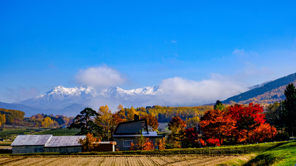 晩秋