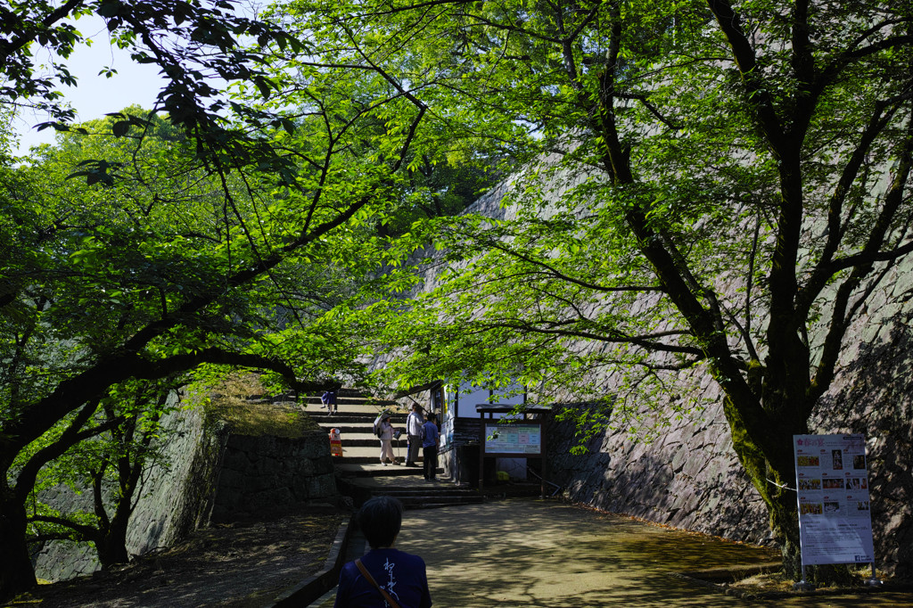 熊本城、あかずの門へ