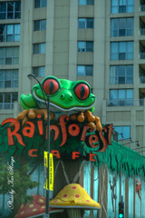 At Chicago