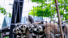 旭山動物園