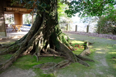 筑紫神社境内にて
