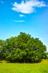 午後の公園にて-9
