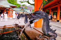 熊野那智大社、竜の手水口