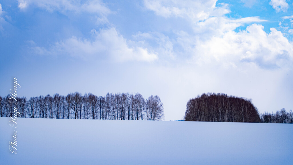 雪の切れ間に