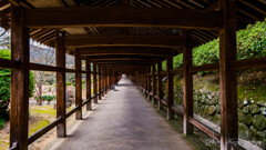 岡山、吉備津神社回廊