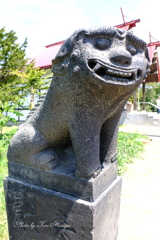 笑う狛犬、女の子