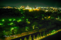 和歌山城夜景