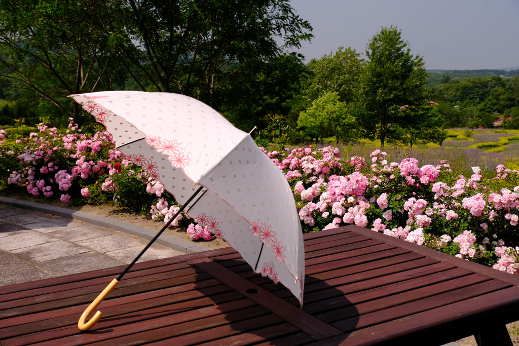 日傘の季節