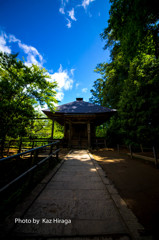中尊寺にて