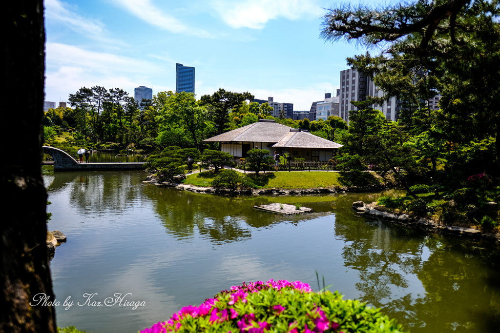 広島、縮景園　4