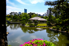 広島、縮景園　4