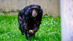 旭山動物園