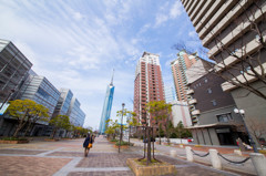 福岡タワーとその周辺　3