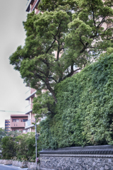 博多の朝に