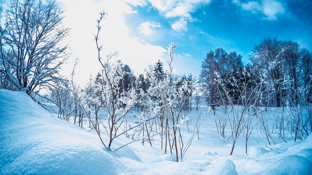 －１４℃　青の強調