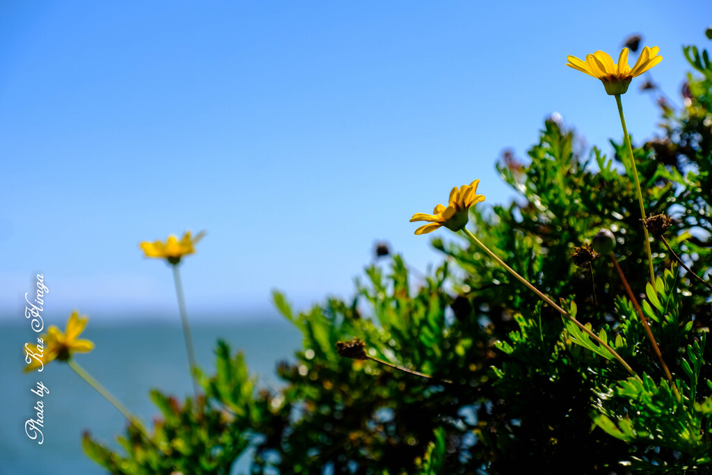 RICHMOND BAY TRAIL