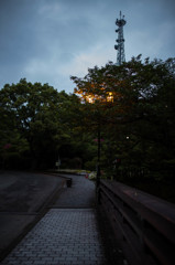 朝の散歩、熊本城　1