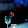 Light and Rose.