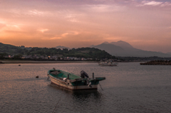 Tiny Harbour