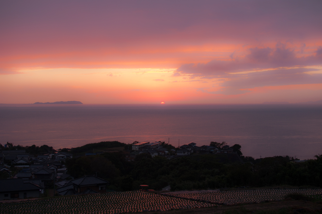 雨上がりの夕日に