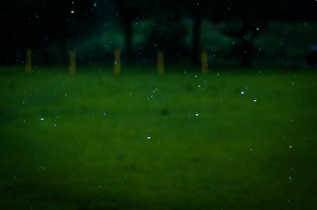 Rainy Sunday