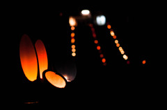 Bamboo Lamp