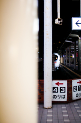 kamome