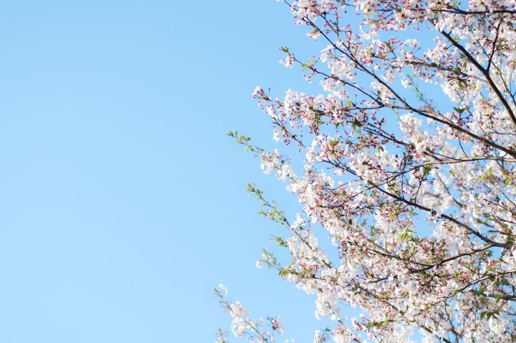 20140402-_DSC0023