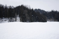 春の雪