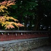 薦神社 -2