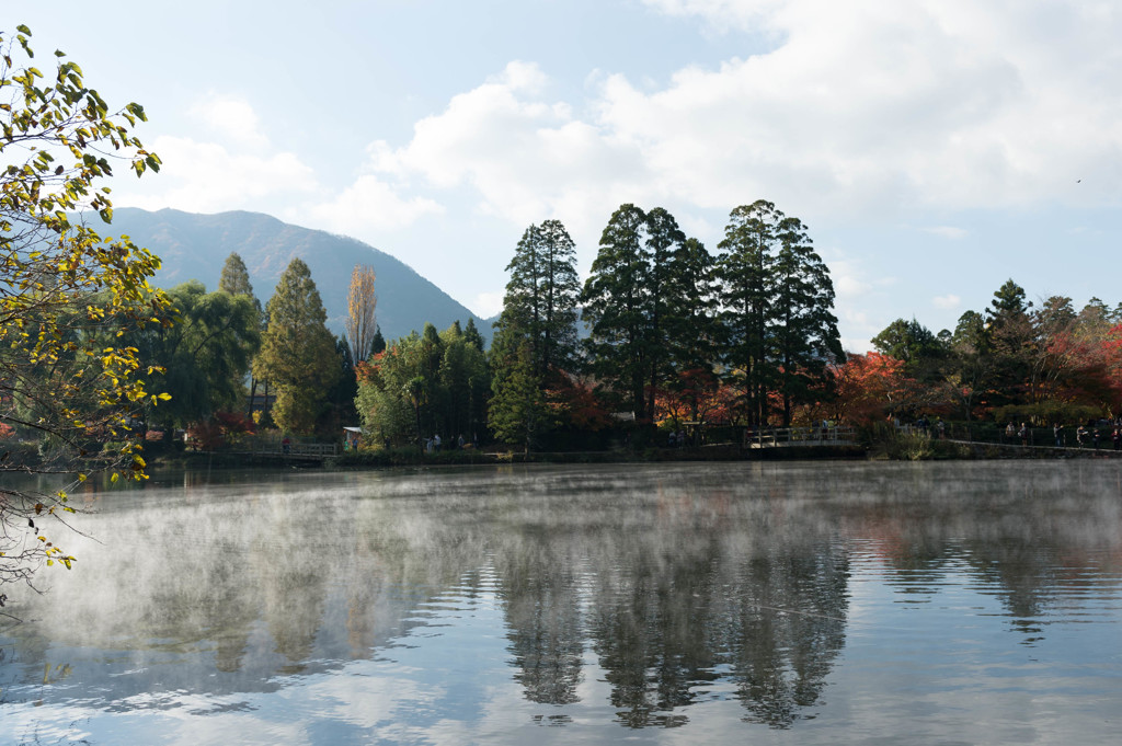 霧の金鱗湖-4