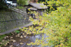 熊本　黒川温泉ー２