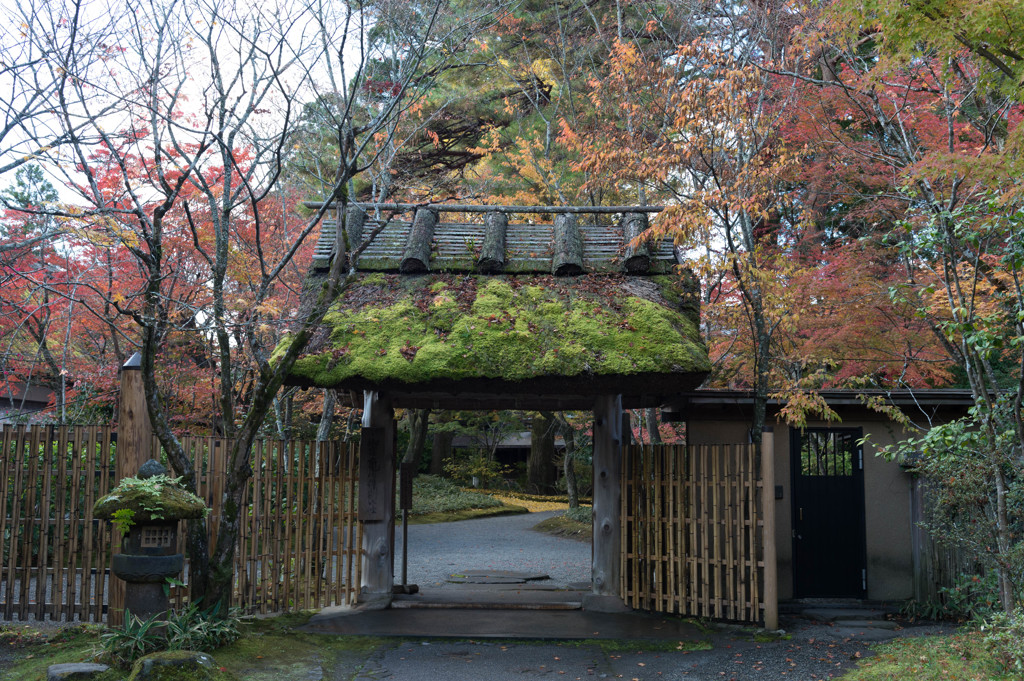 由布院 亀の井別荘ー３