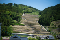 星の村　～棚田～