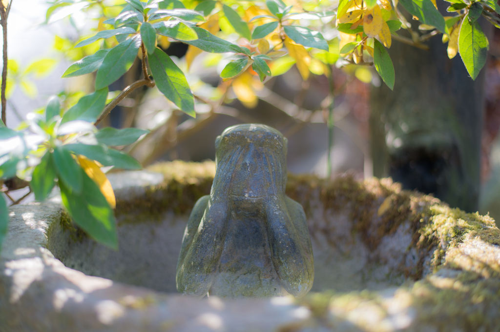 みざる