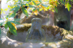 みざる