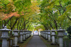 丹波　高山寺