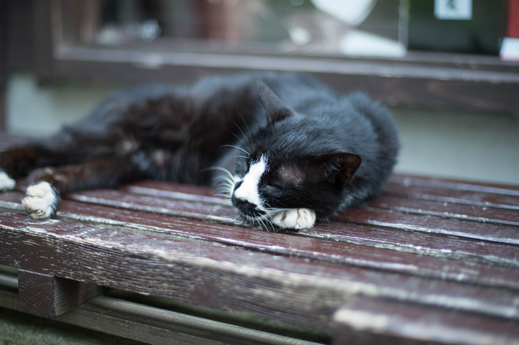 熊本　黒川温泉ー４