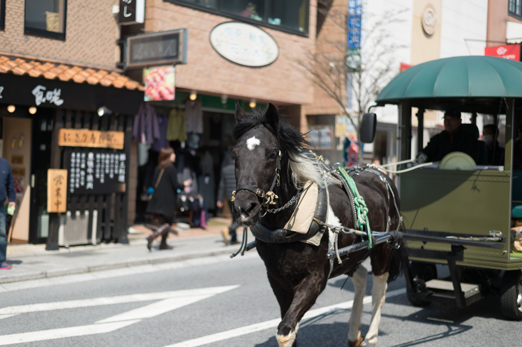 由布院　馬車