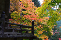 高源寺　三重塔1