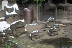 黒川温泉　いこい旅館　かえる