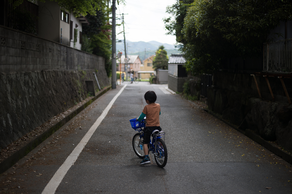 散歩道１