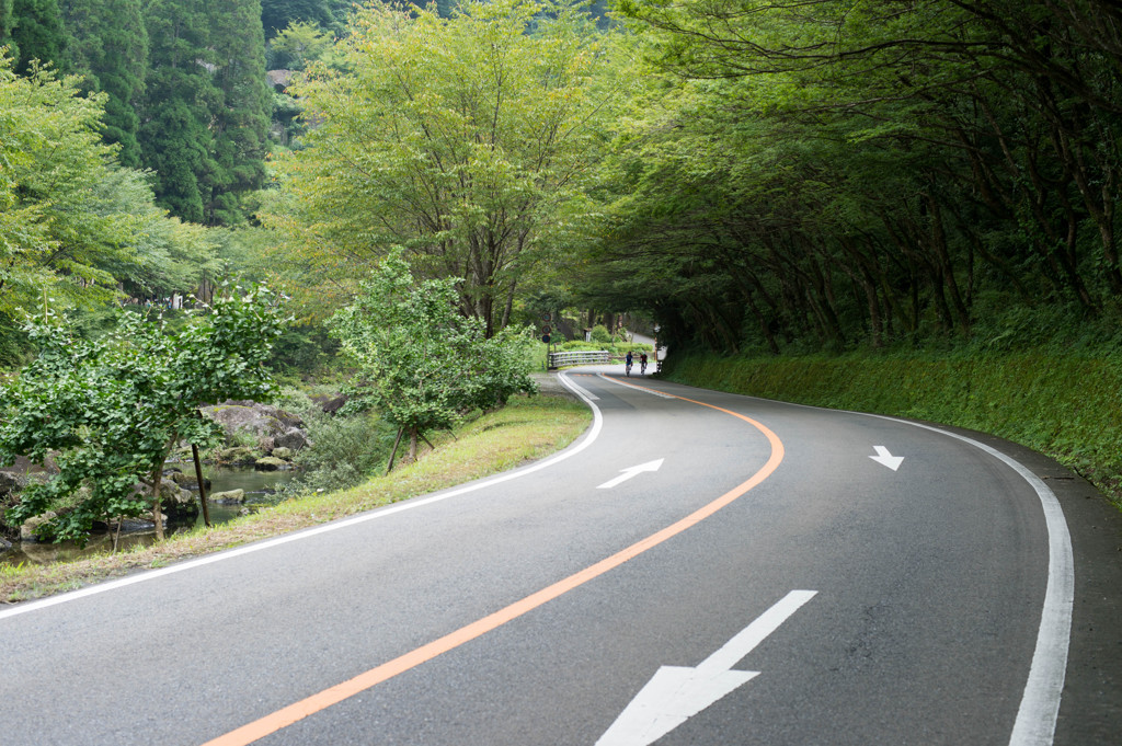 大分中津市 一目百景 ワインディングロード