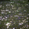 藤園-5